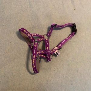 Dogmatic Head Halter